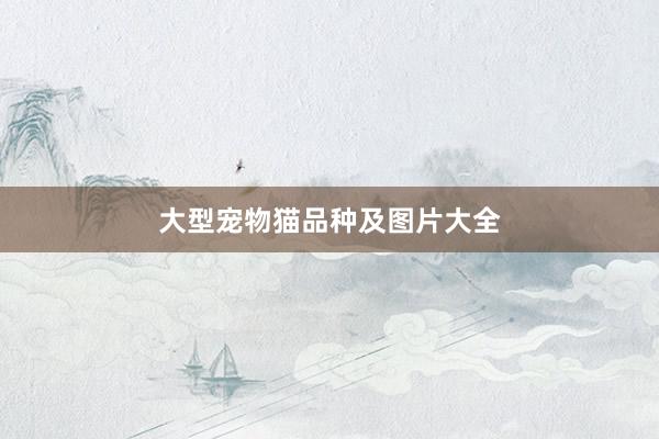 大型宠物猫品种及图片大全